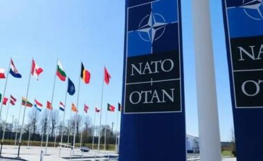 Kosovës iu avancua statusi, por cili është roli dhe funksioni i Asamblesë Parlamentare të NATO-s?