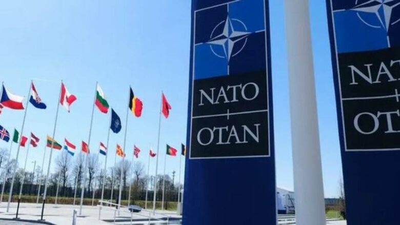 Kosovës iu avancua statusi, por cili është roli dhe funksioni i Asamblesë Parlamentare të NATO-s?