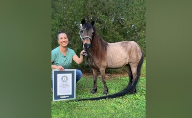 Kali i vogël me bishtin më të gjatë në botë thyen rekord botëror