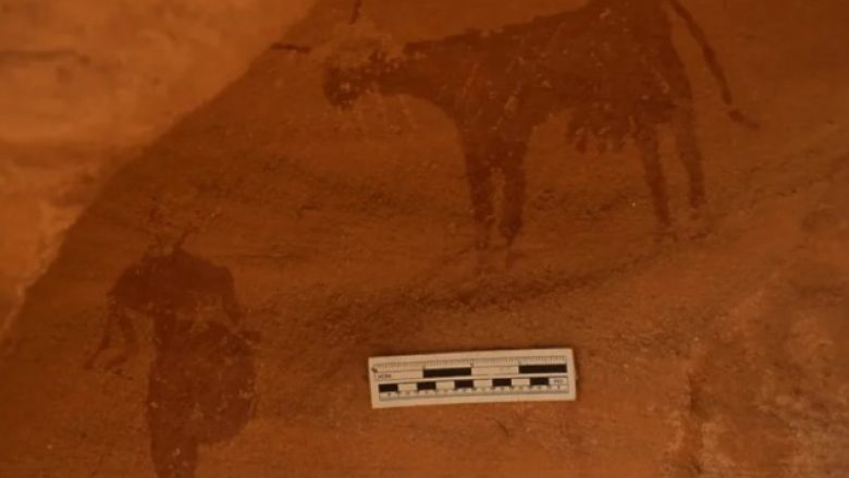 Vizatimet e zbuluara tregojnë se Sahara ishte një vend rrënjësisht i ndryshëm 4000 vjet më parë