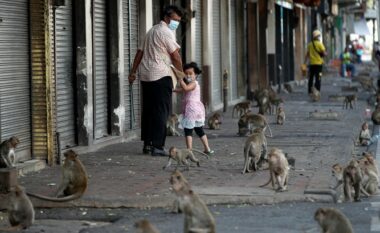 Majmunët “pushtuan” një qytet tajlandez