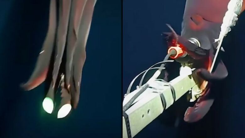 Filmohet një krijesë e frikshme në një thellësi prej 1000 metrash në Oqeanin Paqësor