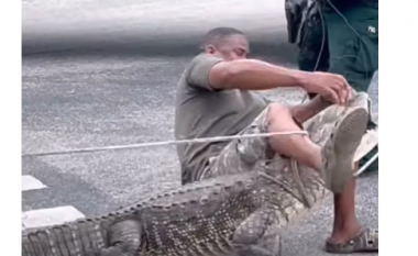 Ulet mbi shpinën e aligatorit në një përpjekje për ta lidhur atë - zvarraniku e hudh në tokë