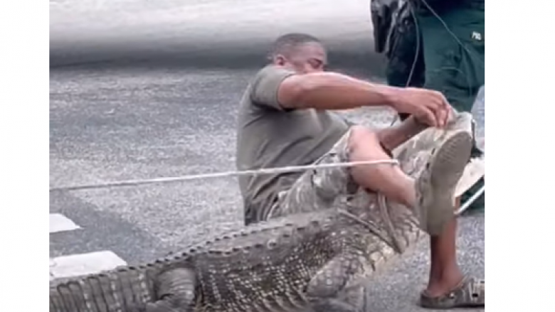 Ulet mbi shpinën e aligatorit në një përpjekje për ta lidhur atë - zvarraniku e hudh në tokë