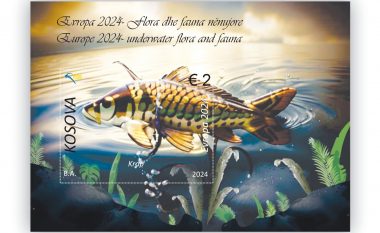 Evropa 2024 – flora dhe fauna nënujore në pulla postare