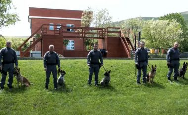 Brenda bazës së njësisë “K9” të Policisë së Kosovës, shembullit të partneritetit njeri – qen
