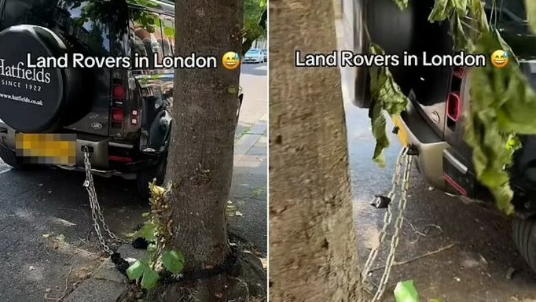 Nga frika se do t’ju vidhen, pronarët e Land Roverave në Londër po i lidhin me zinxhirë nëpër pemë