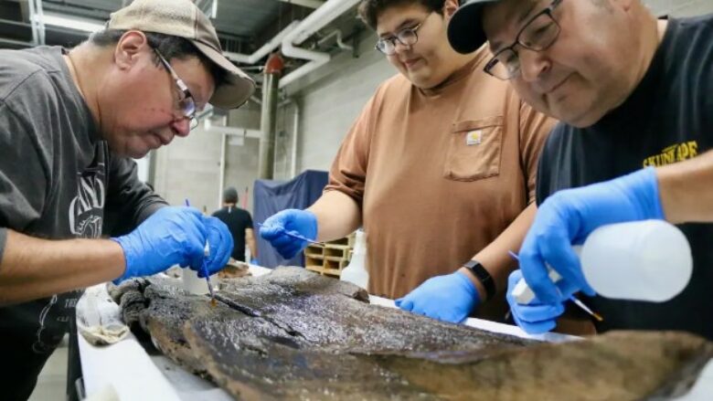Zbulimi 4,500-vjeçar në liqenin e SHBA, flasin ekspertët për gjetjet