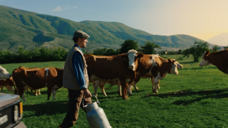 Qumështorja Vita – Dashuria dhe puna e palodhshme e më shumë se 1500 fermerëve!