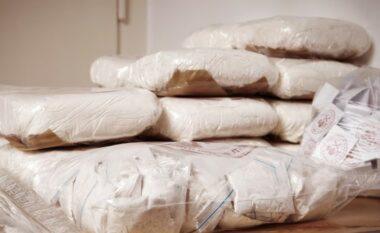 Zbulim rekord nga policia gjermane – kapen 35 tonë kokainë, arrestohen shtatë persona