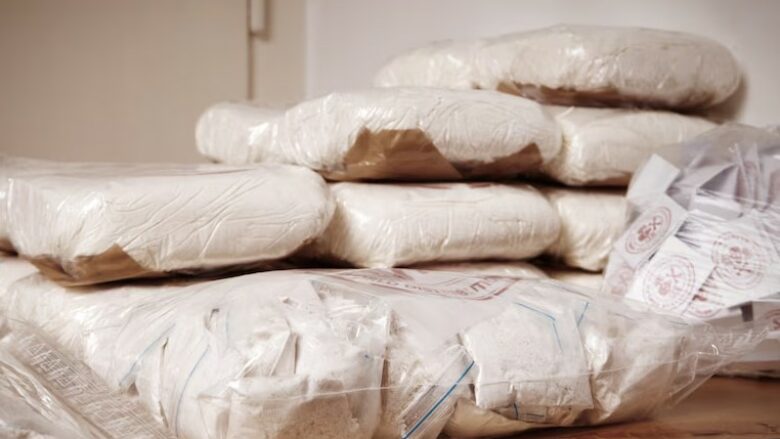 Zbulim rekord nga policia gjermane – kapen 35 tonë kokainë, arrestohen shtatë persona