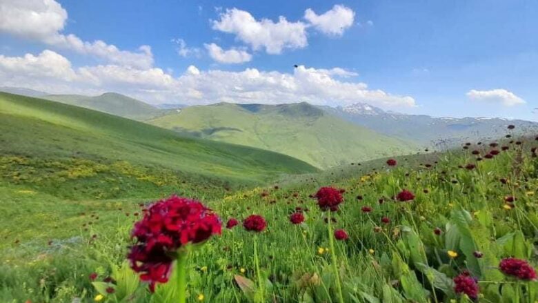 Shtegu i Ngjyrave në Parkun Natyror Korab-Koritnik, një nga destinacionet e preferuara të turistëve