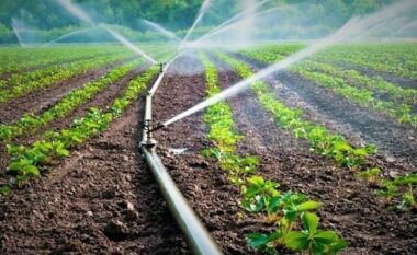 Bujqit e Dibrës pa ujë për të ujitur fushat