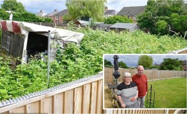 Fqinjët në hall pasi kopshti i lënë pas dore i një çifti të moshuar në Angli u la të rritet jashtë kontrollit
