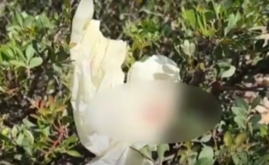 Gjak, doreza plastike dhe një copë e bardhë – pamje nga zona ku u gjet trupi i 31-vjeçarit në Dhërmi