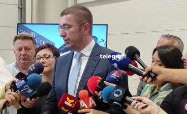Ademi: Qytetarët nuk kanë votuar një Kryeministër që i “qorton” aleatët, VLEN nuk ka guxim të kundërshtojë Mickoskin