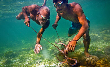 E kalojnë gjysmën e jetës së tyre nën ujë dhe mund të mbajnë frymën për 13 minuta: Njihuni me “njerëzit-peshq” nga Indonezia