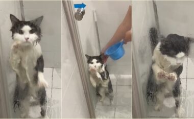 Kjo mace përpiqet “për të shpëtuar nga dushi” - në fund, ajo 
