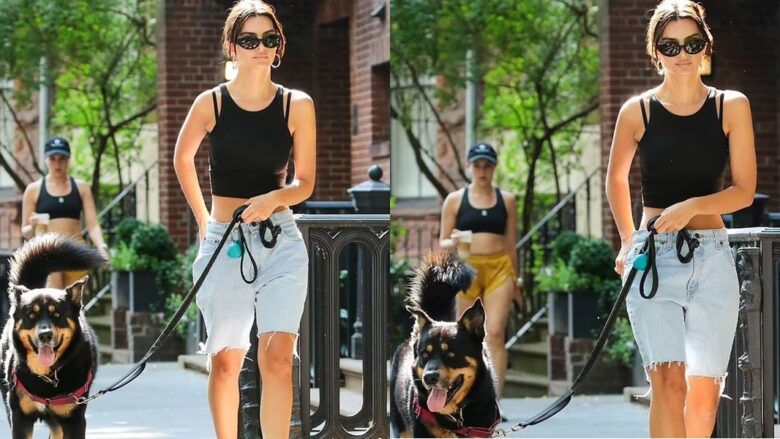 Emily Ratajkowski shfaqet me një dukje plot stil, gjatë shëtitjes me qenin e saj Colombo në New York