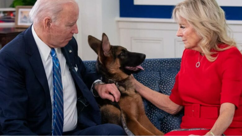 E kishte nxjerrë për shëtitje në oborrin e Shtëpisë së Bardhë, qeni i presidentit amerikan kafshon një agjent të Shërbimit Sekret
