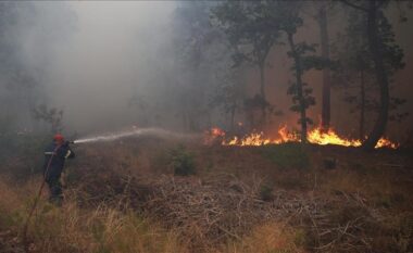 Paralajmërim për rrezik zjarresh në pyjet e Greqisë