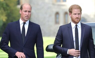 Princi William ndalon Harryn të kthehet në familjen mbretërore