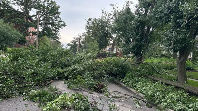 Stuhitë dhe tornadot godasin Chicagon, shkulën pemë e shtylla elektrike – 460 mijë klientë e biznese mbetën pa rrymë