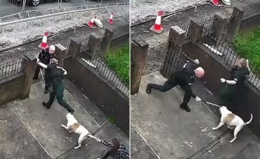 Qeni ia kafshon këmbën polices në Belfast, kolegu dhe pronarja e kafshës tentonin ta shpëtonin – e godisnin në kokë me shkopinj
