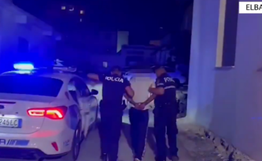 Theri me thikë ish-bashkëshorten e tij, arrestohet 53-vjeçari në Elbasan
