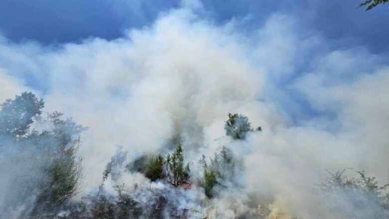 Shpeshtohen zjarret në Skenderaj, Komuna dyshon për zjarrvënie të qëllimshme