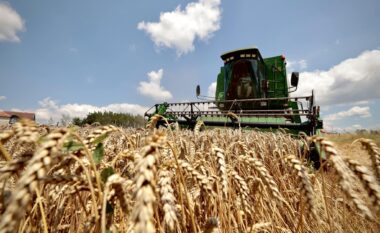Profesori i bujqësisë: Edhe këtë vit s’do të ketë prodhim të mjaftueshëm vendor të grurit