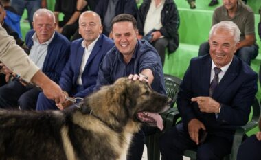 Abdixhiku e vazhdon traditën e Rugovës, me qenin ilir të Sharrit