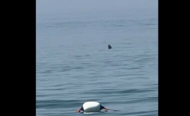 Një peshkaqen shfaqet te Rana e Hedhun, shqetësohen pushuesit
