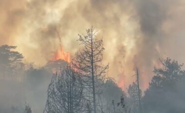 Del jashtë kontrollit zjarri në Maliq të Korçës, kërkohet ndihmë nga ajri