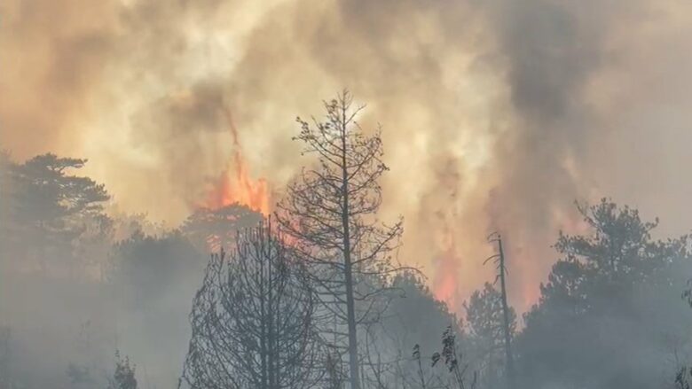 Del jashtë kontrollit zjarri në Maliq të Korçës, kërkohet ndihmë nga ajri
