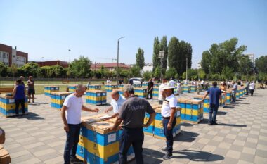 Komuna e Gjakovës subvencionon 56 bletarë me koshere bletësh