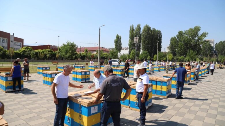 Komuna e Gjakovës subvencionon 56 bletarë me koshere bletësh