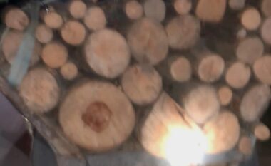 Arrestohet një person për prerje të drunjëve në Jezercë të Ferizajt