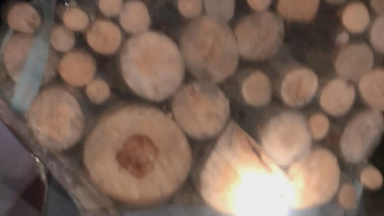 Arrestohet një person për prerje të drunjëve në Jezercë të Ferizajt