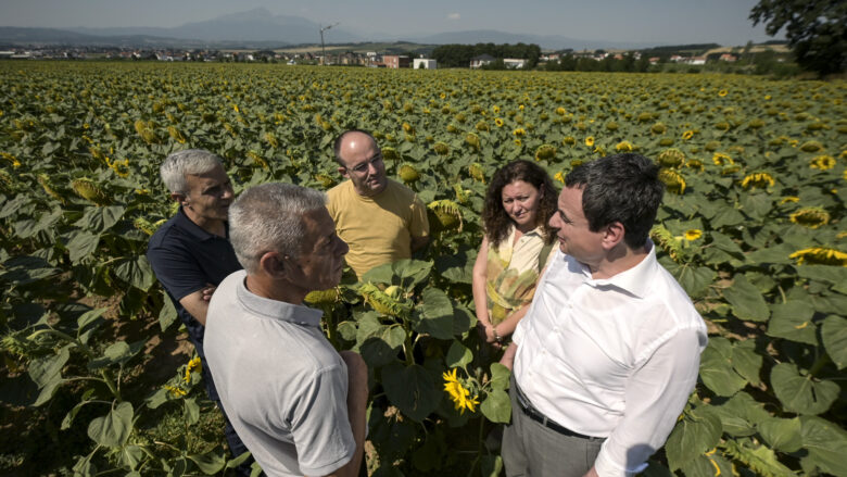 Fusha të mbjella me lulediell, Kurti në Ferizaj: Ushqimi në tryezat tona duhet të jetë nga toka jonë