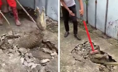 Dëgjuan një zhurmë të pazakontë dhe gërmuan trotuarin – punonjësit indonezian u tronditën kur panë tri krokodila