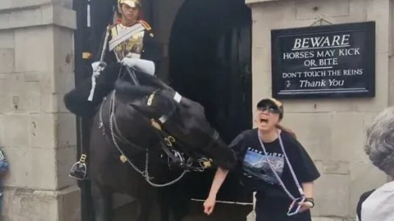 Gruaja injoroi shenjat paralajmëruese – e pësoi keq pasi tentoi të bënte një foto pranë kalit të Gardës së Mbretit në Londër