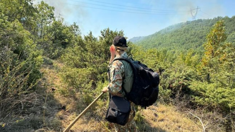 Rreth 100 pjesëtarë të ushtrisë janë përfshi në shuarjen e zjarreve në Maqedoni