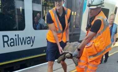 Breshka e arratisur shkaktoi një varg vonesash treni në disa linja në Angli