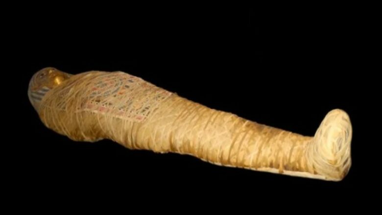 A mundet që bakteret ose viruset e mumieve të lashta egjiptiane të shkaktojnë sot një “murtajë”