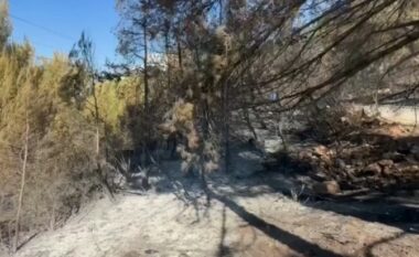 Pemë të kthyera në hi, zjarrfikësit në Shëngjin ndodhen ende në terren