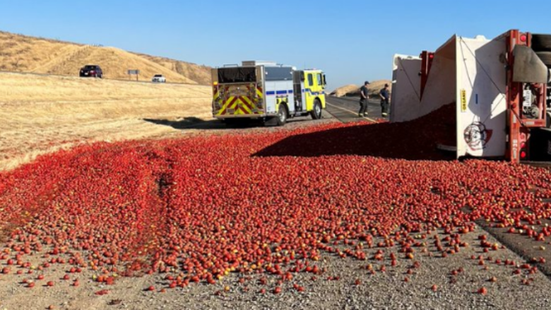 Kamioni përmbyset dhe mbulon autostradën e Kalifornisë me domate