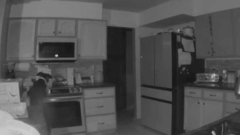 Bëhen virale pamjet e qenit që ndez shporetin elektrik dhe shkakton zjarr në një shtëpi në Kolorado