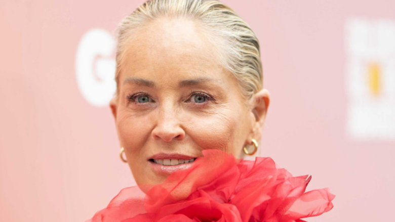 Sharon Stone humbi 16 milionë euro gjatë kohës që pësoi goditje në tru