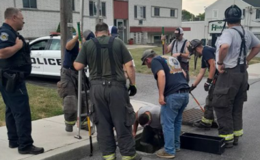 Zjarrfikësit e Pensilvanisë shpëtojnë katër rosa të bllokuara në një kanalizim